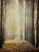 erring / http://500px.com/photo/405989
