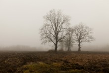 Herbststimmung / ***