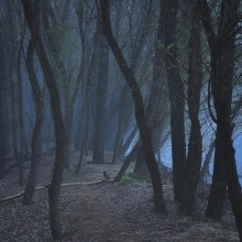 düsteren Morgen .... / http://wild-tramp.livejournal.com/