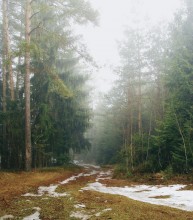 Letzter Schnee ... / ***