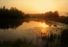 Summer Evening / ***