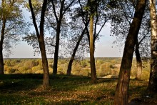 Reflexion der Sonne / ***