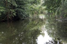 Am Fluss / ***