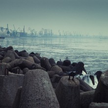 Port / ***