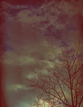 Morgen / ***