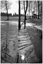 Frühling / *****