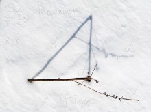 Rätsel der Natur / ***