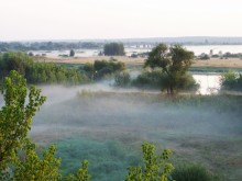 Cold Morgen eines Sommertages. / ***