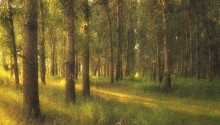 Golden Grove / http://wild-tramp.livejournal.com/