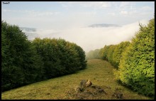 Lichtung / ***