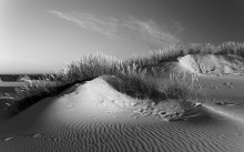 Die Welt von Dune II / ***