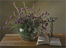 C offenes Buch .... / ***