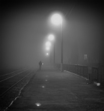 follow the white rabbit / (\__/)
(='.'=)
(")_(")
