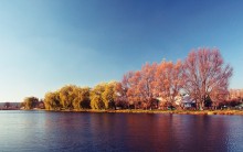 Herbst / ***