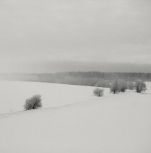 Alone in the Light 2 / *****