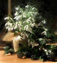 Sketch mit Schneeglöckchen (2) / *********************