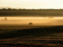 Nebliger Morgen / **********