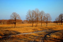 Der Weg zum Geburtshaus / ********