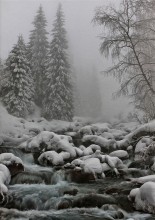 Nebel auf dem Fluss / ______