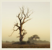 Vormund / *****