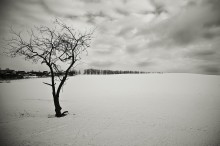 Einsamkeit / .................