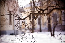 Branch / *****