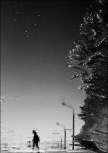 Spring Melancholie / ***