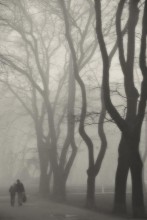 Foggy Day. / ***