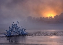 Winterüberflutung / ***
