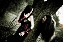 dark wood / ***