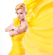Yellow butterfly / ***