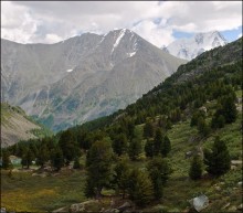 Von den Höhen des Altai-Gebirges II / ***