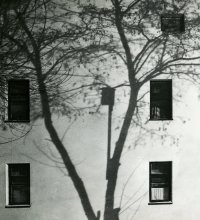 Vogelhaus / ***
