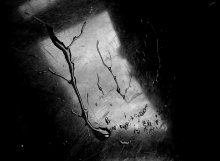 Stimmung / se c901