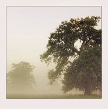 Nachbarn / *****