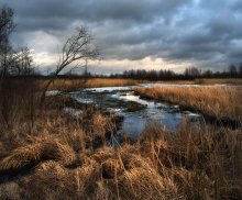 Frühling liegt in der frühen / ***
