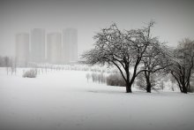 Die April-Winter / ***