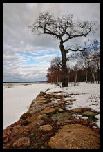 am Golf von Finnland / ,,,,,,,,,,,,,