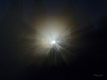 Luminous zusammengekauert in der Nacht / ***