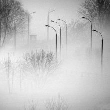 Neun / *****