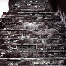 Treppen ist nicht gelogen / ***