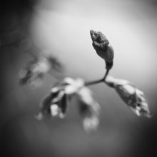 wieder / ...........