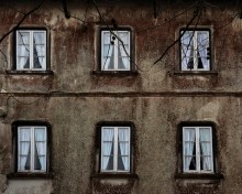 Window II / .....................