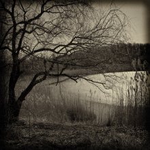 Memory ... / ***