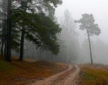 Weg / ***