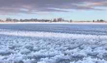 See Eiskristalle / _________