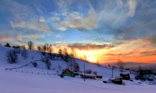 Magic malt Winter / ***