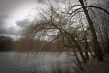 Cold Spring / ***