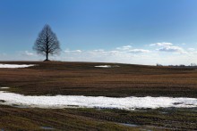 * Frühling / ***