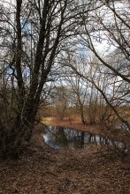 nach der Flut / ********